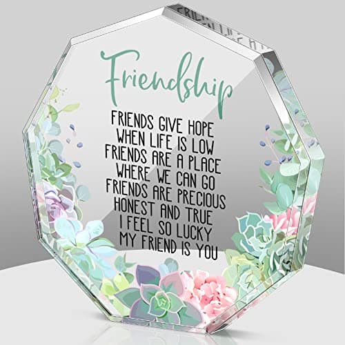 Spiareal Gift for Friend Friendship Women Friend Friendship Birthday Cheer up Gift Acrylic Heart Butterfly Keepsake Paperweight for Home Office Table Shelf(Succulent)