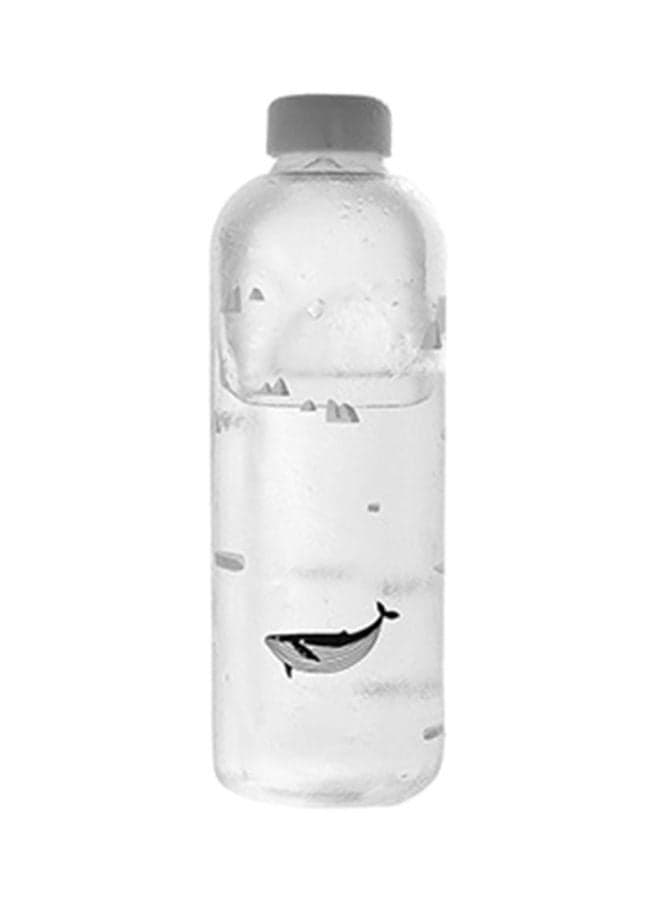 Ocean Series Seal Whale Glass Water Bottle Clear/Grey 24.5x8cm