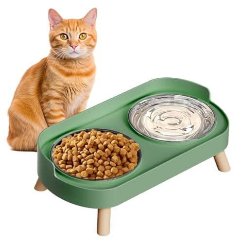 Elevated Cat Bowl Raised Cat Food and Water Bowl Set for Indoor Cats Splash Proof with 2 Stainless Steel Pet Food Bowls for Cats and Puppies Whisker Fatigue and Dishwasher Safe Green