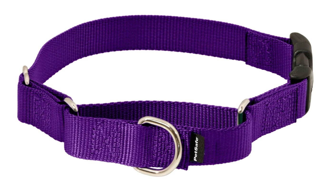 PetSafe Martingale Dog Collar with Quick-Snap Buckle - Large, 1 Inch, Deep Purple