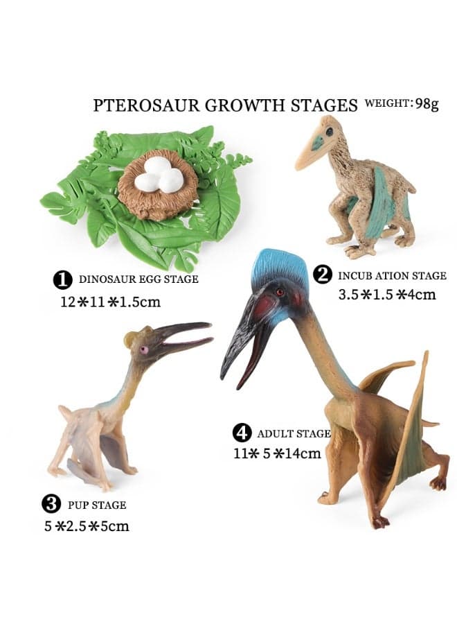 4 Pcs 2456 Hatz Pterosaur Growth Cycle Model Set (Includes Dinosaur Egg, Baby, Juvenile, And Adult Stages), Realistic Miniature Animal Model, High-Quality Plastic Material, For Children Cognitive Education, Bath And Pool Toys, Boys Girls Birthday Party Gifts