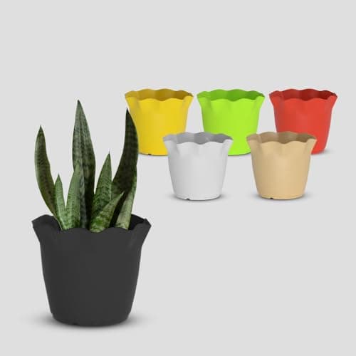 YUCCABE ITALIA SHERA 8 Inch Plastic Flower Pot 6 Piece Set of Unbreakable Round Shape Planter for Home Garden Seedling, Indoor and Outdoor (Multicolor)