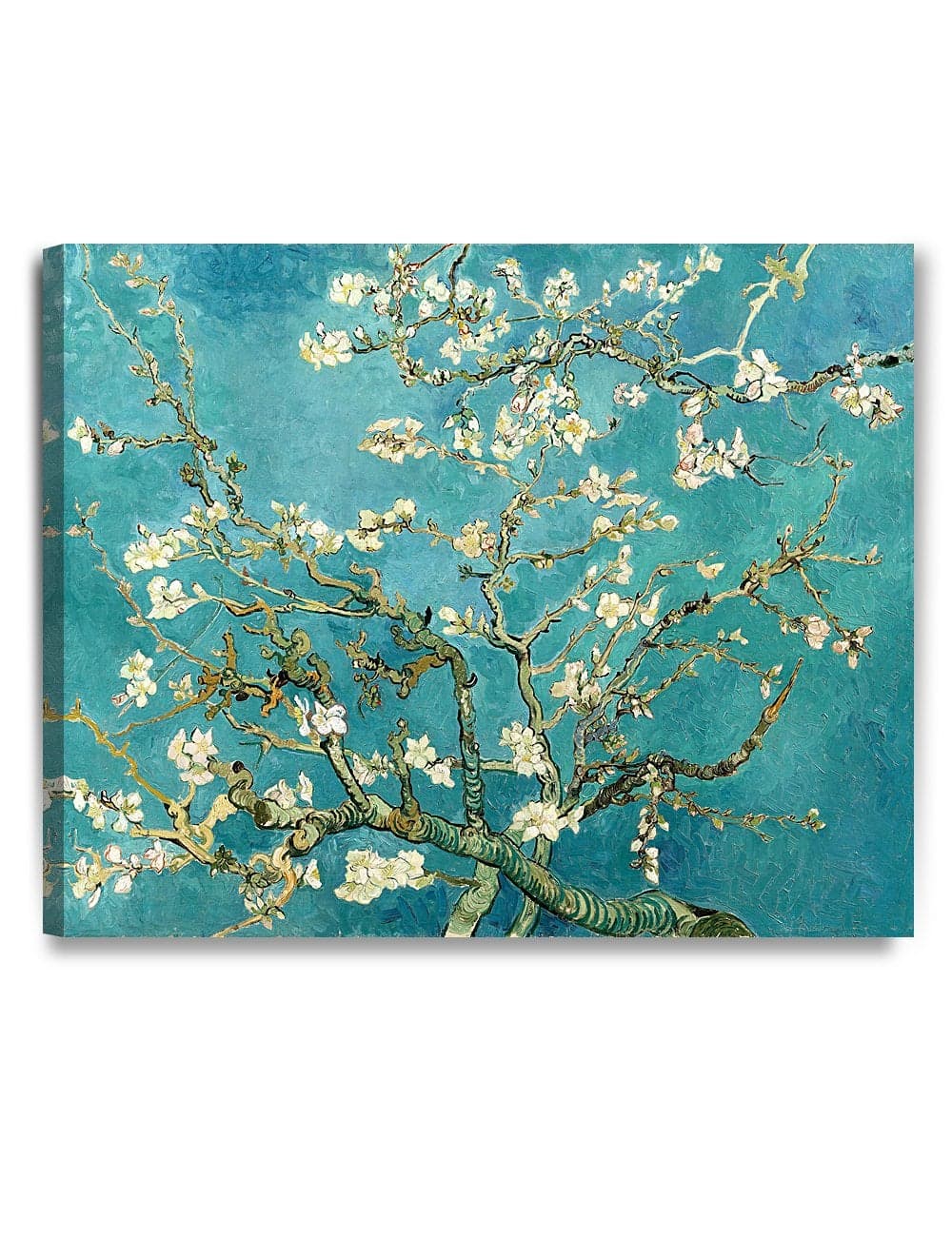 DECORARTS - Almond Blossom Tree - Vincent Van Gogh Art Reproduction. Giclee Canvas Prints Wall Art for Home Decor 30x24