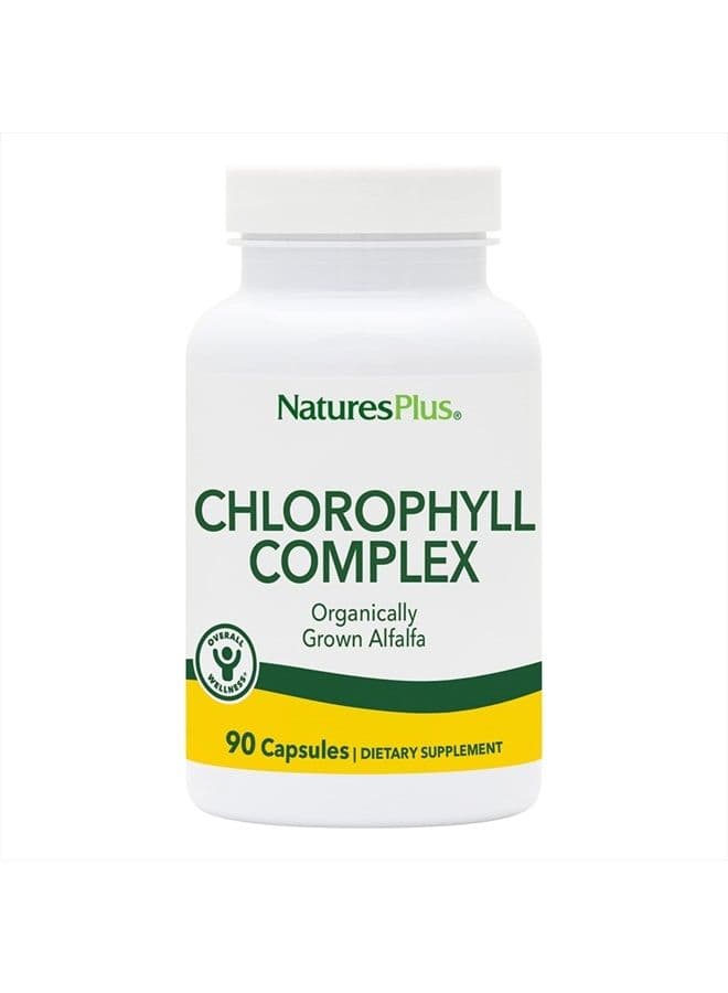 NaturesPlus Chlorophyll Complex - 90 Vegetarian Capsules - Nutritional Support for General Well-Being - Vegan - 45 Servings