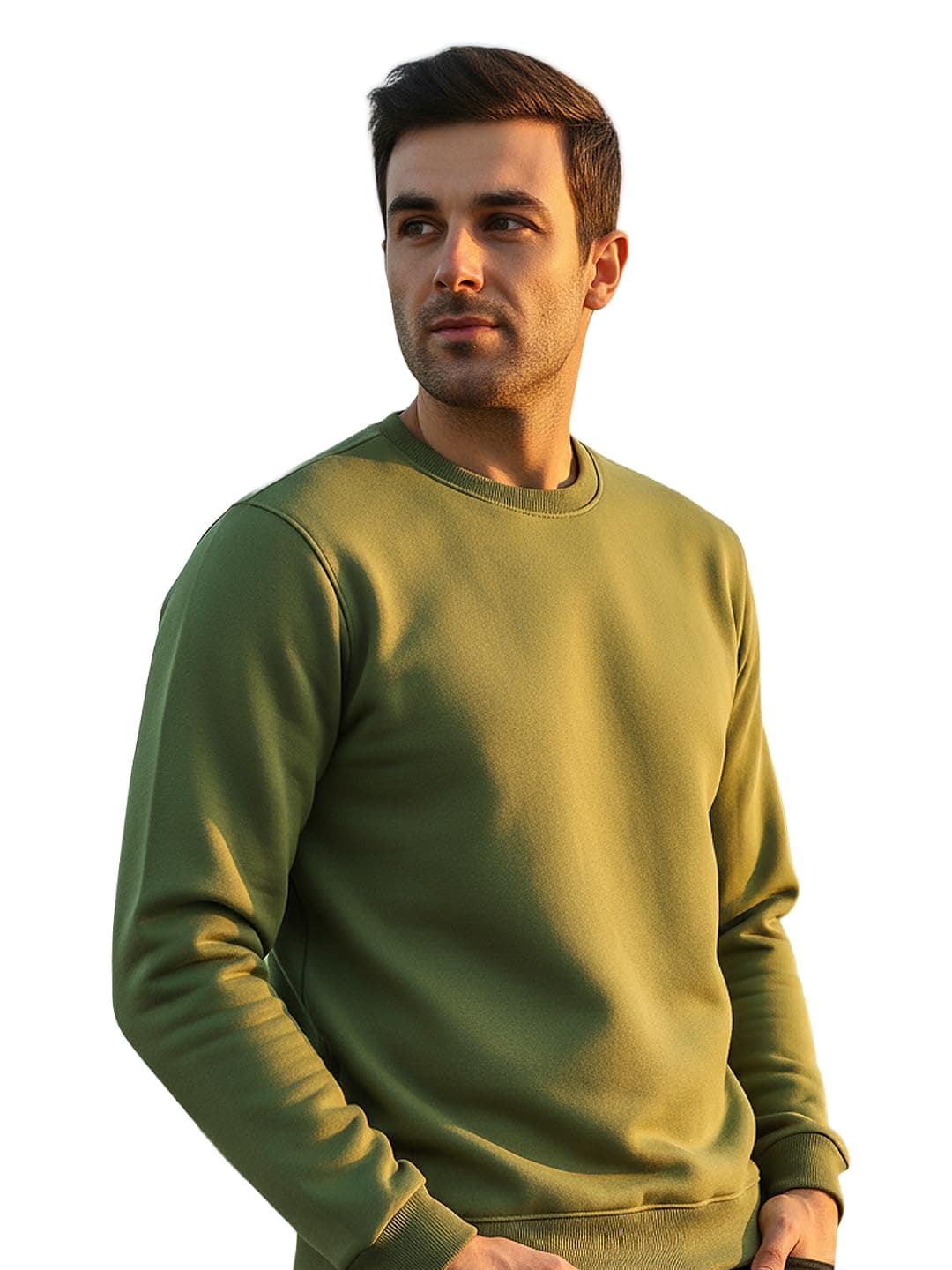 Neostreak Men's Regular Fleece Round Neck Sweatshirt (neoswtsol-01-ptolve_Olive_M)