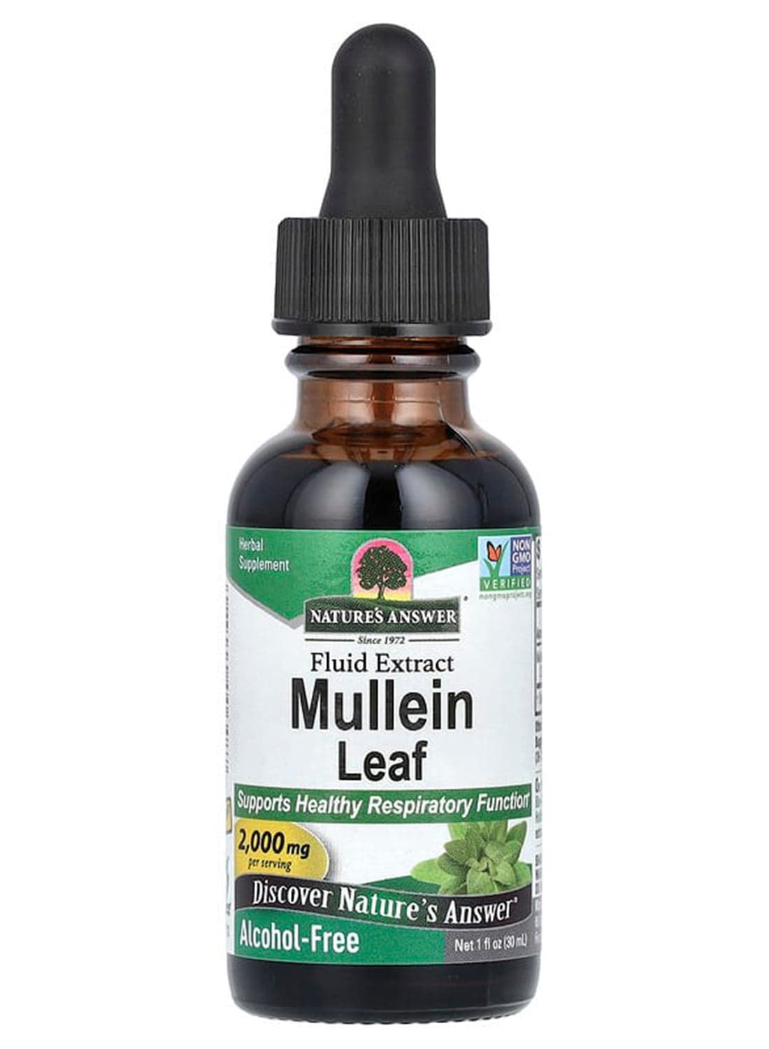 Mullein Verbascum Thapsus Herbal Supplement 1 fl oz
