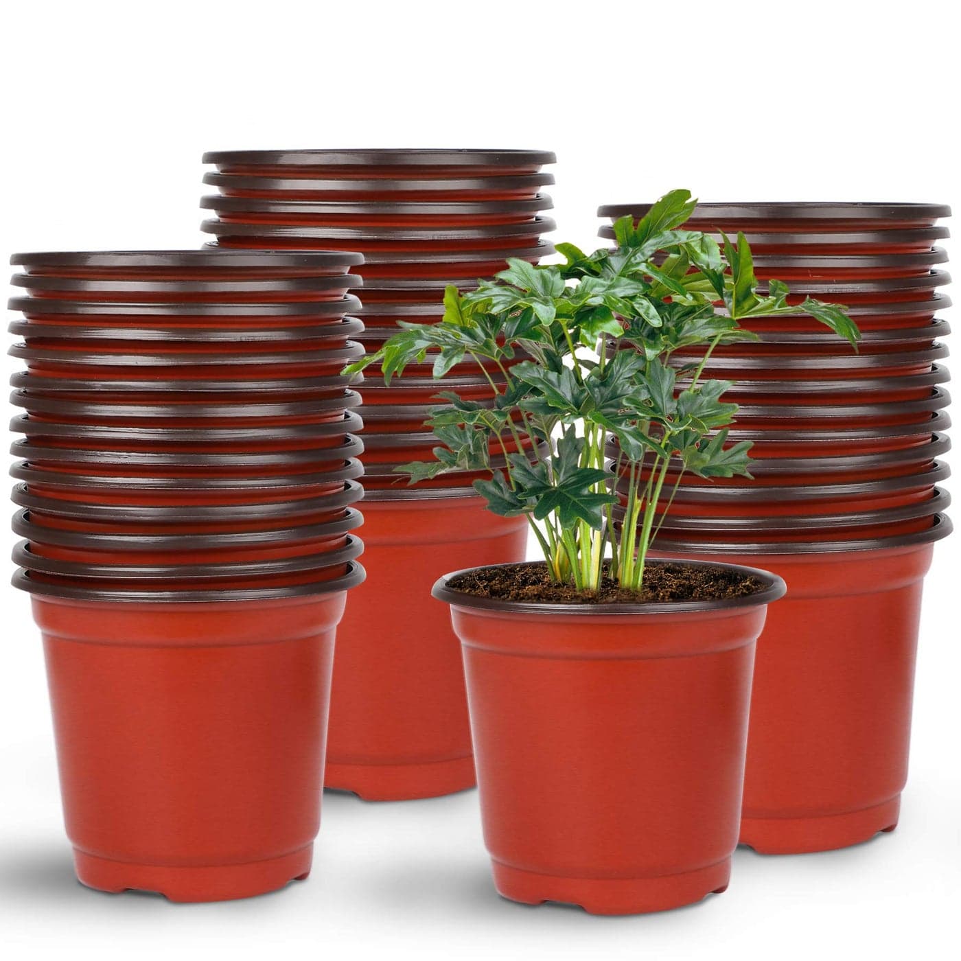 Augshy Nursery Pot 75 Pcs 4 Plastic Nursery Seed Starting Pots Flower Plant Container for Succulent Seedling Cutting Transplanting