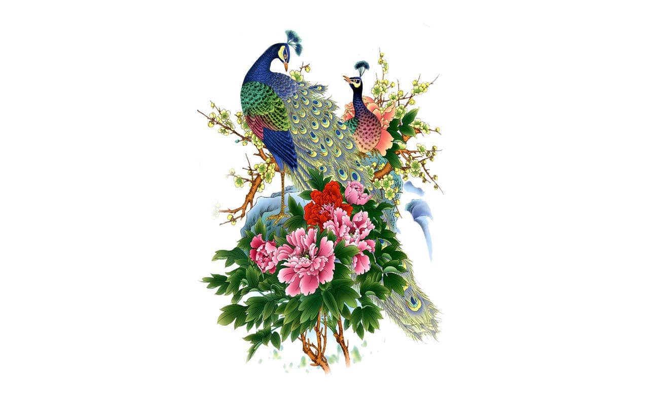 Divine Designs™ PVC Vinyl Self-Adhesive Peacock & Flowers Wall Sticker for Living Room, Bedroom, Office Wall Decoration (25 X 22 INCH) Pack 1