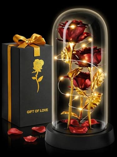 Rose in Glass Dome with LED Lights in Gift Box — Gifts for Mom, Grandma, Wife, Girlfriend, Birthday Gifts for Women, Lighted Glass Rose — Romantic Forever Flowers, Battery Powered Home Decor (Red)