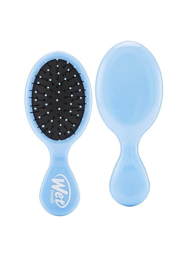 Squirt Detangler Hair Brushes - Sky - Mini Detangling Brush with Ultra-Soft IntelliFlex Bristles Glide Through Tangles with Ease - Pain Free Comb for All Hair Types