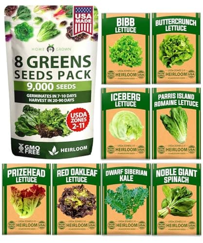 HOME GROWN Lettuce Seeds for Planting - 8 Varieties Non-GMO Heirloom Salad Greens Seeds - 9000+ USA-Sourced Vegetable Seeds for Planting Outdoors, Indoors, Hydroponic Garden