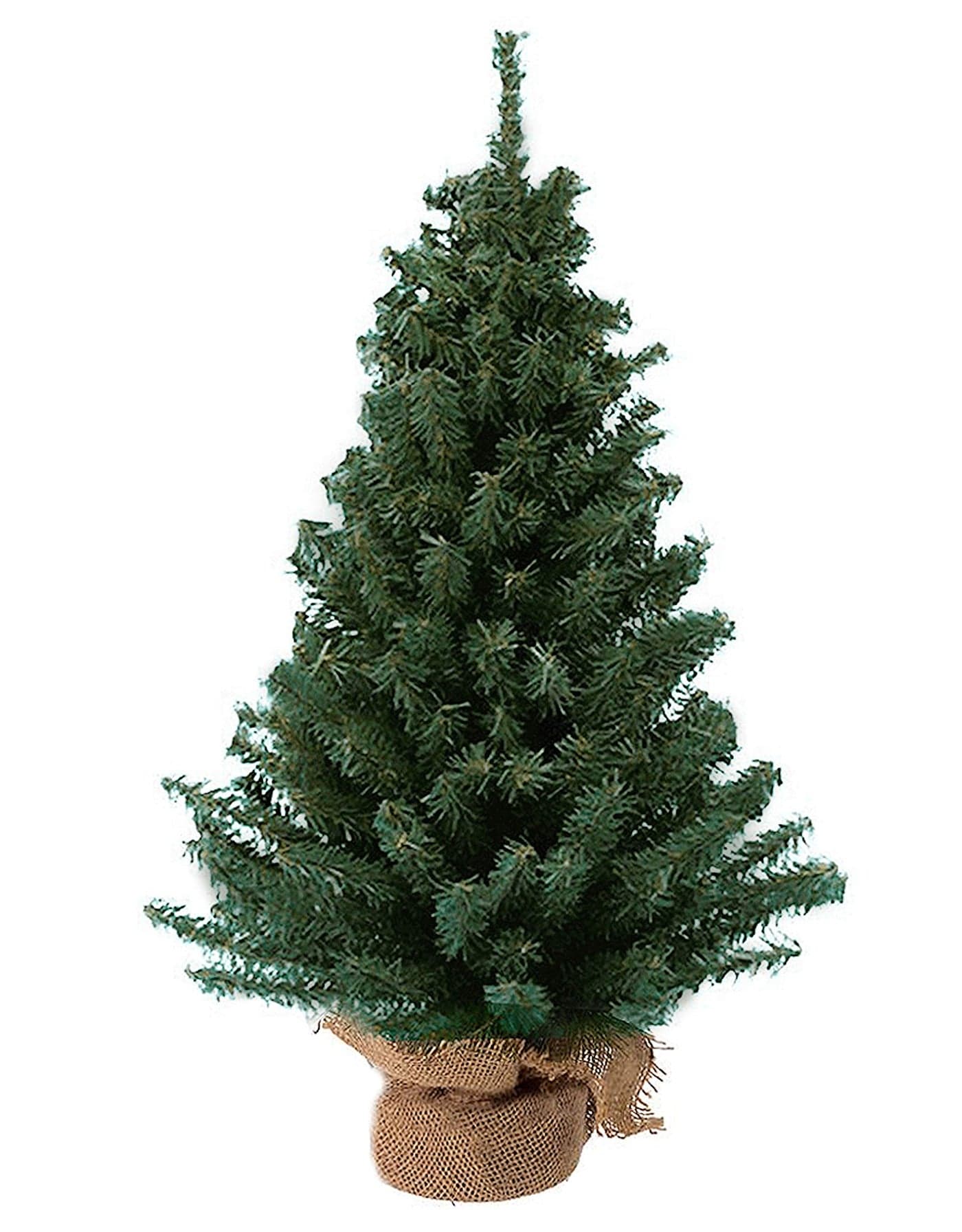 Kurt Adler TR2044 18 Mini Pine Tree