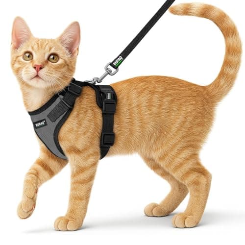 Buraq Pets Cat Harness with Leash for Outdoor, Walking, Escape Proof, Air Mesh Fabric, Easy Control, Adjustable & Durable Cat Leash with Harness for Small Medium & Large Cats (XS - Grey)