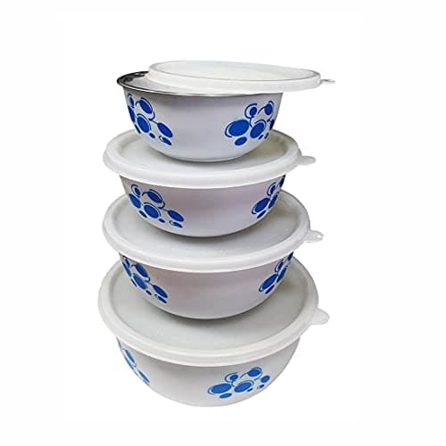 Shri & Sam Stainless Steel Euro Storage Bowl with Lid (White)