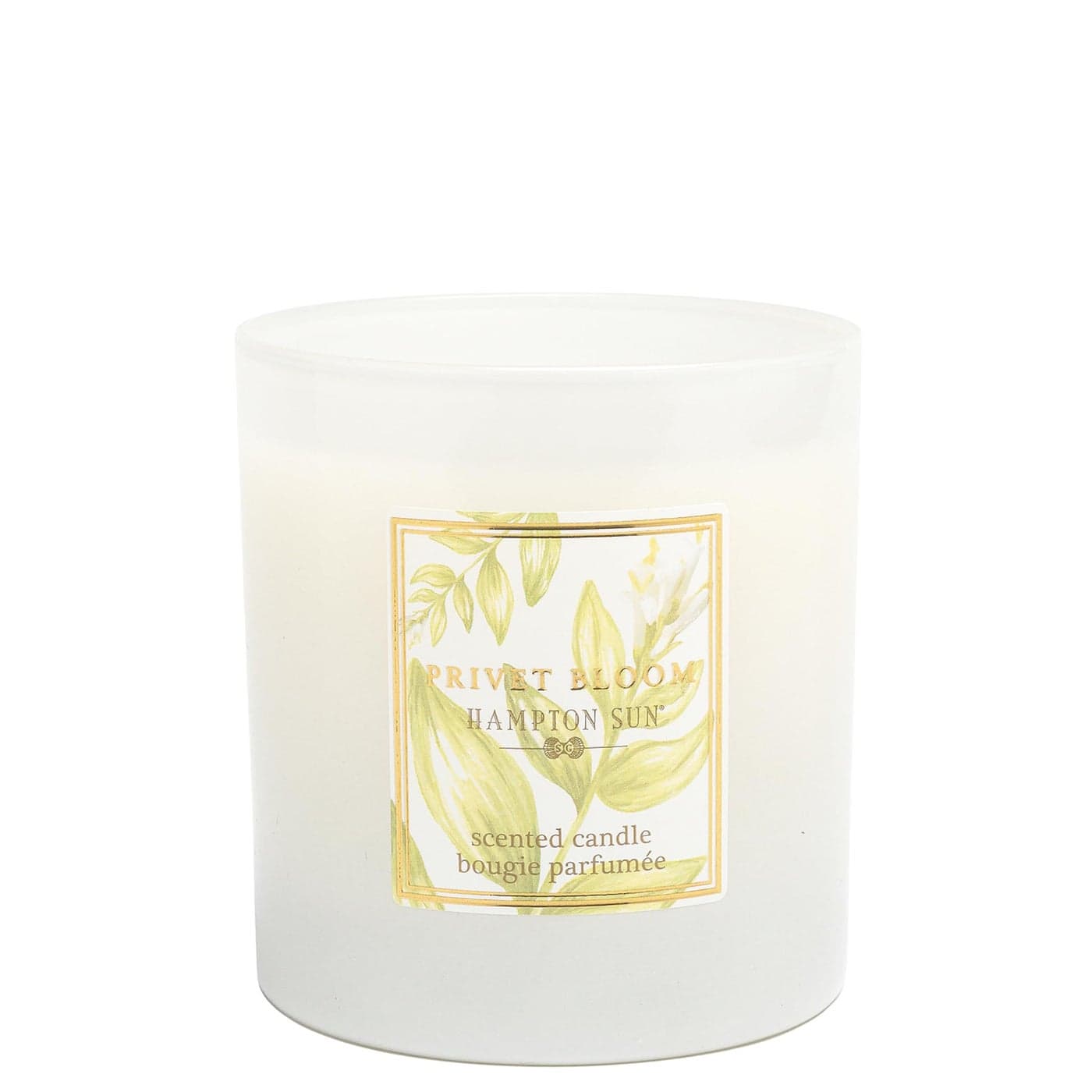Hampton Sun Privet Bloom Candle Crisp Clean White Floral Scent Reminiscent of Summer in the Hamptons White Hyacinth Sea Spray Lily of the Valley Dune Grass Jasmine Modern Elegance White Glass Candle