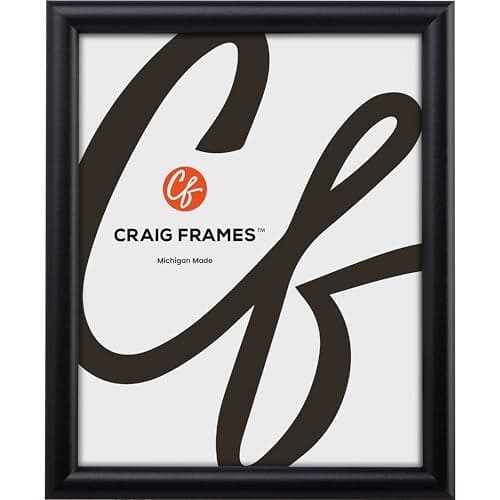 Craig Frames FW2BK 10 x 13-Inch Picture Frame, Smooth Finish, 0.765-Inch Wide, Black