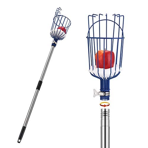 Oak Leaf Fruit Picker, 13 FT Picker Pole with Basket, Length Adjustable Apple Orange Picker Tool Tree Fruit Catcher with Lightweight Stainless Steel Connecting Pole, Foam Pad, 2 Metal Clamp(Upgraded)