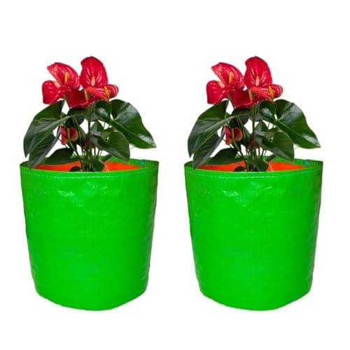 GroWonder Plant Grow Bags 18X9 inches, Terrace Gardening Vegetable Planting Pots, Woven Fabric Leafy Fruits Growing Containers-Pack of 2