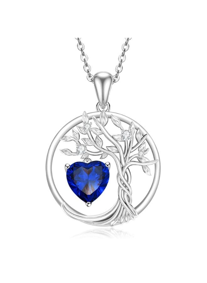 Premium s925 Silver Collarbone Chain