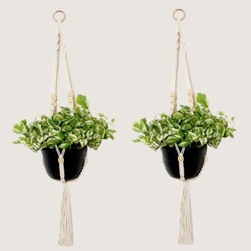 Lazy Gardener Macrame Cotton Plant Hanger | Indoor Outdoor Balcony Garden Decor | Dao Macrame Hanger- Cream Beads Knotted (Pack of 2)