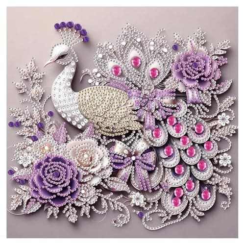 hill froeistung Special Shape Peacock Diamond Art Painting Kits for AdultsFlowers Diamond Art Kits for BeginnersDiamond Art Kits for Home Decor1212inch3030cmBirds