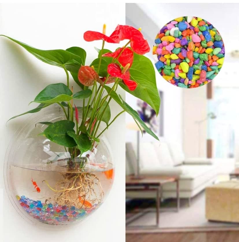 VAYINATO® 9 Inch Acrylic White Wall Hanging Bowl (with Free Stones) for Fish and Indoor Water Plants Wall Decoration (9 Inch) by Petzlifeworld