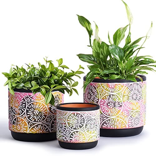 DeeCoo 3 Piece Ceramic Plant pots with Drainage Holes, 5.7/4.7/3.5/inch, Modern Decorative Indoor/Outdoor Flower Pots Set For Plants Lilies, Cacti, Succulents, Snakes, and Bamboo (Black)