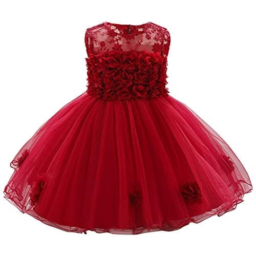 ODASDO Baby Flower Girl Dresses Infant Toddler Kids 1st 2nd Birthday Party Dress Lace Flower Embroidered Pageant Wedding Bridesmaid Evening Summer Sleeveless Princess Tutu Tulle Gown Red 12-18M
