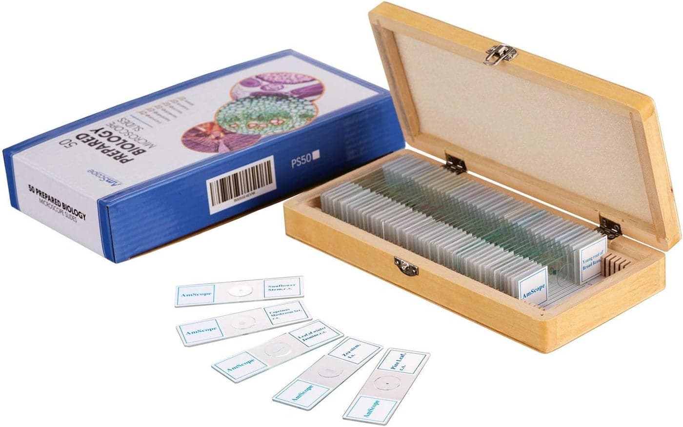 AmScope PS50 Prepared Microscope Slide Set for Basic Biological Science Education 50 Slides Includes Fitted Wooden Case