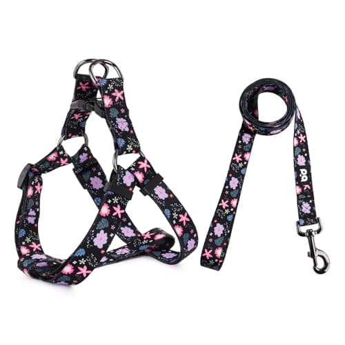 QQPETS Dog Harness Leash Set Adjustable Heavy Duty No Pull Halter Harnesses for Small Medium Large Breed Dogs Back Clip Anti-Twist Perfect for Walking