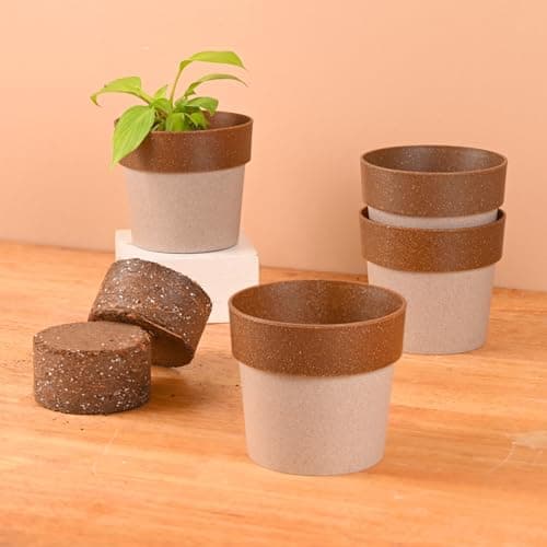 Eha Earth Friendly Ecopod 4 inch Small pots for Indoor Plants with 2 Growmix | Pack of 4 | Made with Bamboo Fibers|Table Top Planters for Home Decor and Office, Flower Pot for Living Room | Tortilla