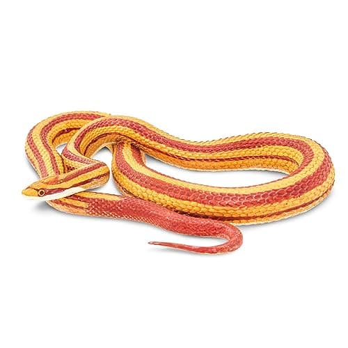 Safari LtdCorn Snake Figurine Lifelike 525 Model Figure Educational Toy for Boys Girls and Kids Ages 3
