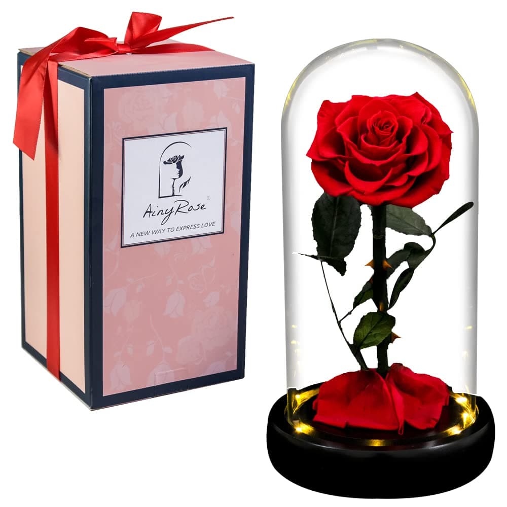 AINYROSE Gift for Mom Forever Preserved Rose in Glass Dome with Light Women Gifts Eternal Beauty Rose Romantic Gift for HerMothers DayValentines DayBirthdayChristmasAnniversary red