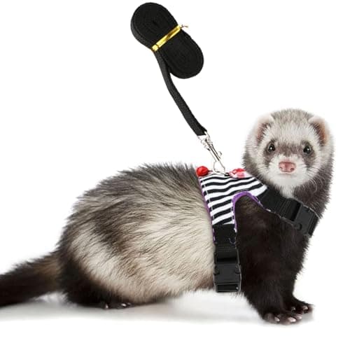 Small Pet Harness Vest and Leash Set with Bowknot and Bell Decor for Gerbil Guinea Pig Squirrel Kitten Outdoor Walking (S, Black Stripe)