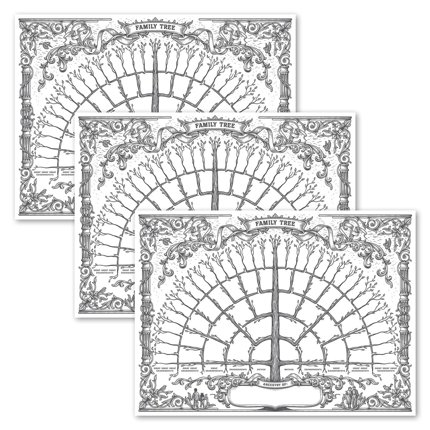 Palace Learning 3 Pack Family Tree Chart To Fill In 6 Generation Genealogy Poster Blank Fillable Ancestry Chart Version 1 18 x 24