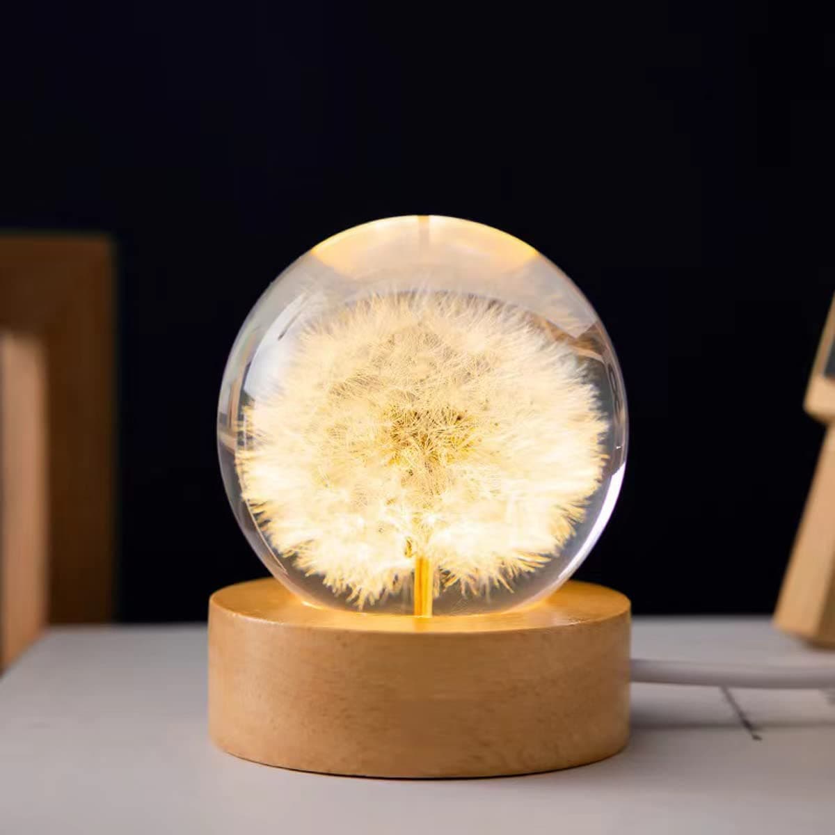 DESHINTKE Real Dandelion Glowing Crystal Ball Eternal Flower Paperweight with Luminous Base