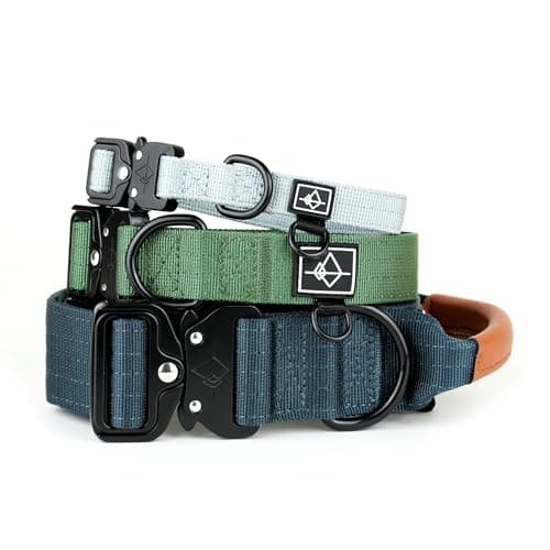 Made to ROAM Premium Explorer Control Collar - Adjustable Heavy Duty Nylon Dog Collar with Quick-Release Metal Buckle and Handle (Nevada Evening, Control Size 5)