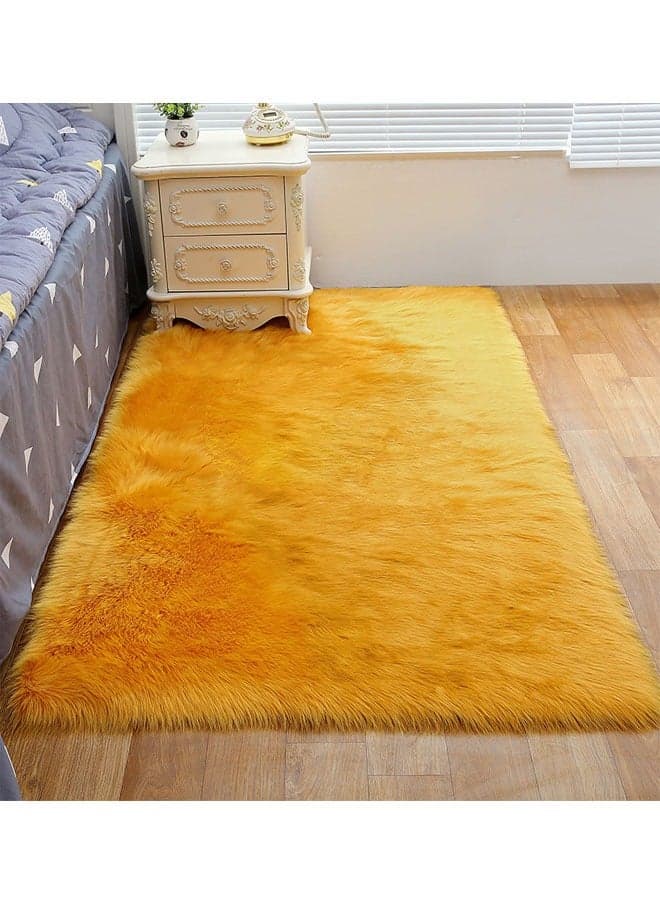 Modern Fluffy Long Pile Area Rug Non-Slip, Super Soft Decor Contemporary Carpet 90*200 Cm