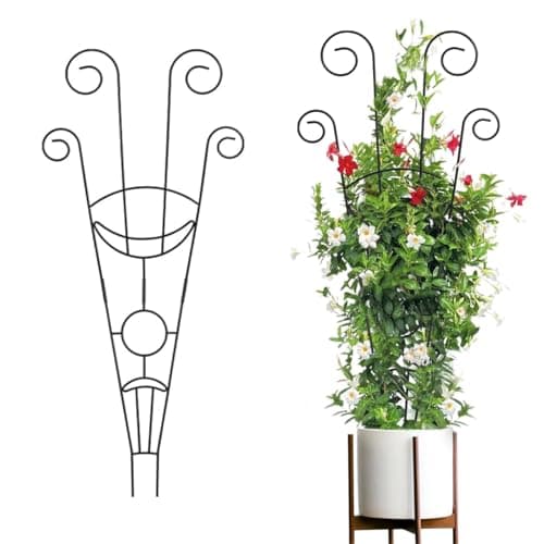 ecofynd 32 inches Metal Trellis for Plants, Different Patterns Stem Flower Plant Support, Garden Climbing Plant Trellis for Outdoor Amaryllis Orchid Lily Rose (1 Pack, BLK, TR017)