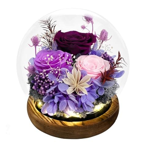 FIACO Gifts for Mom Women Birthday Preserved Flowers in Glass Dome Forever Fresh Flowers for Delivery Prime Long-Lasting Eternal Roses Gifts for Grandma Sister Daughter Wife Her Girlfriend Purple