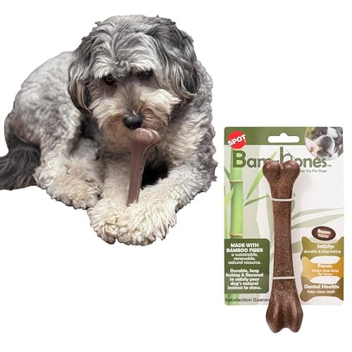 SPOT BamBones Bone Made with Strong Bamboo Fiber Durable Long Lasting Dog Chew for Light to Moderate Chewers Great Toy for Adult Dogs Teething Puppies under 40lbs 725in Bacon Flavor