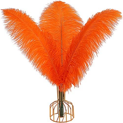 THARAHT Orange Ostrich Feathers 12pcs Large Natural Bulk 1214Inch 30cm35cm for Wedding Party Centerpieces Halloween and Home Decoration Feathers