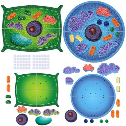 VercanMonth 2 Set Giant Felt Animal and Plant Cell Anatomy Model Kits Early Biology Cell Model Life Science Toys Animal Plant Bacteria Science Kit for Boys Girls Classroom Educational Learning