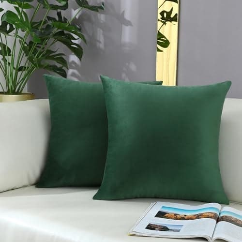 mixeoo Comfy Hunter Green Throw Pillow Covers Decorative Square Solid Thick Velvet Super Soft Couch Cushion Cases for Livingroom Sofa Decor, Set of 2, 20 x 20 Inch