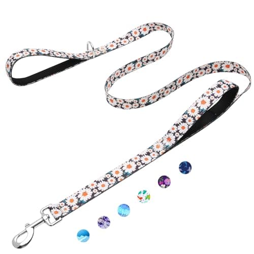 Fidohug 6ft Dog Leash with Two Padded Handles, Heavy Duty Strong Nylon Pet Leash with Soft Neoprene Handle for Small Medium Large Dogs, Daisy