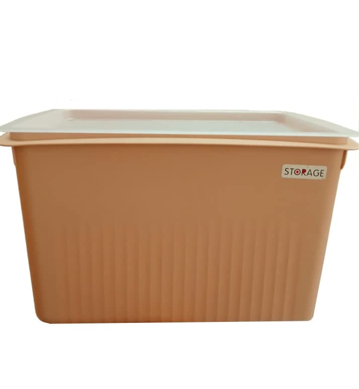 Homies, 1 pcs Storage Basket For Multiple Uses With Transparent Lid, For Kitchen, Wardrobe,Toys etc. In Multicolor (L35*W24*H22cm)