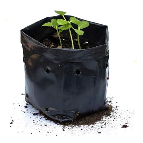 Go Garden 8 x 12 Inch Plastic Poly Grow Bags for Home Gardens - Perfect for Plantation and Used in Every Plant Nursery - Ideal for Home Plants (Black - 50 Qty)