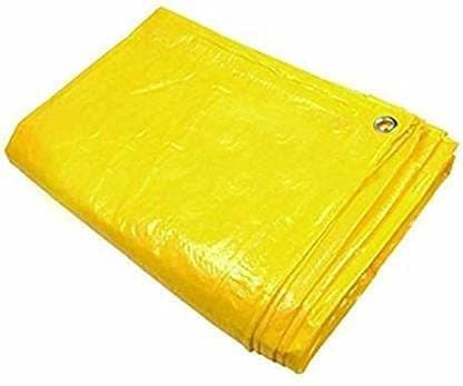 RK Trends Tarpaulin Sheet Waterproof Tirpal Heavy Duty Tadpatri with Aluminium Eyelets Each Coners Multipurpose Plastic Cover Tharpai 12 15 FEET 120 GSM by RK