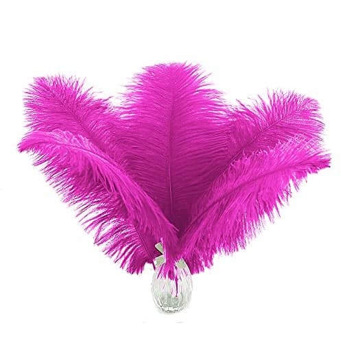 Ballinger Fuchsia Large Ostrich Feathers 24pcs 810inch Hot Pink Feathers for Party Centerpieces Flower Arrangement and Home Decor