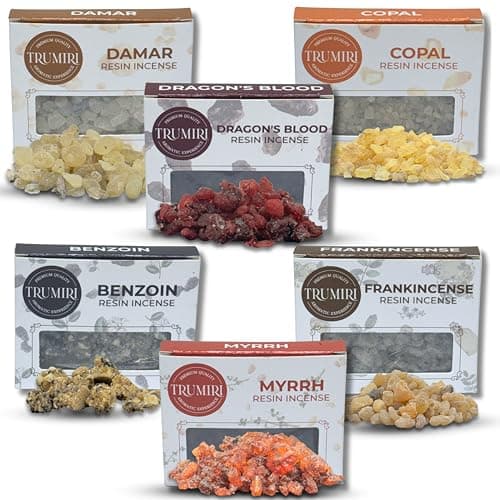 Resin Incense - Natural Tree Gum Sap - 6x30g Variety Pack Including Frankincense and Myrrh Copal Benzoin Dragon's Blood Damar